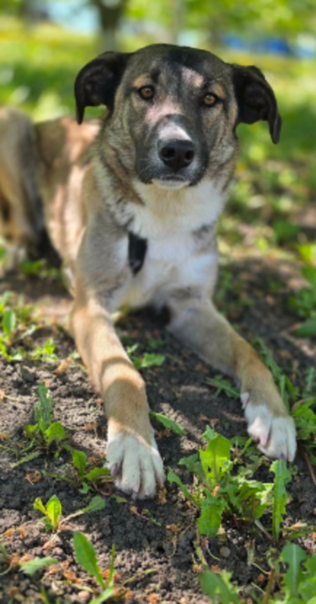 Adopter Miriam