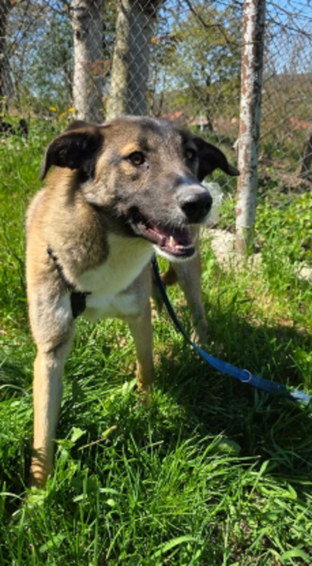 Adopter Miriam
