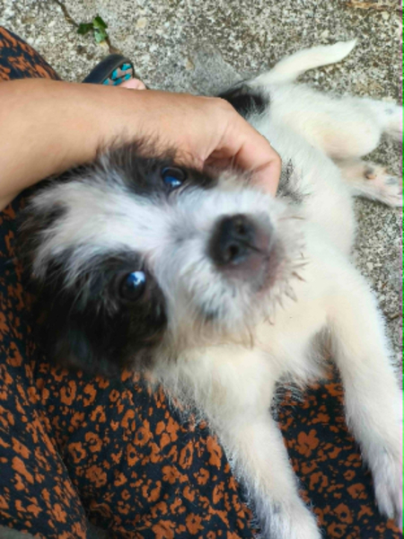 Adopter Moufia