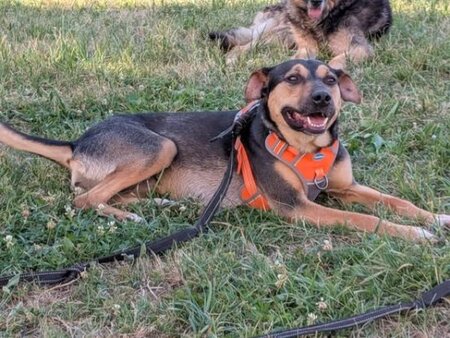 Adopter Nadezda