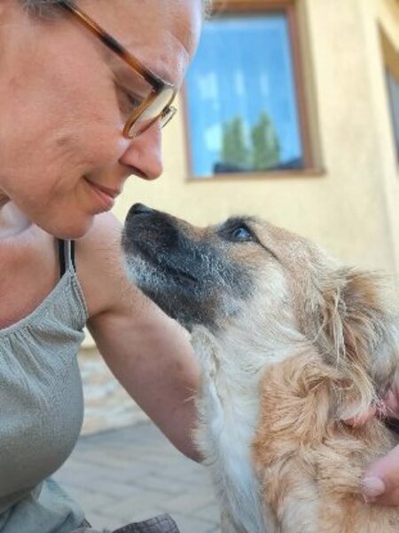 Adopter Naïa