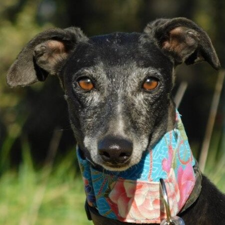 Adopter Naomi