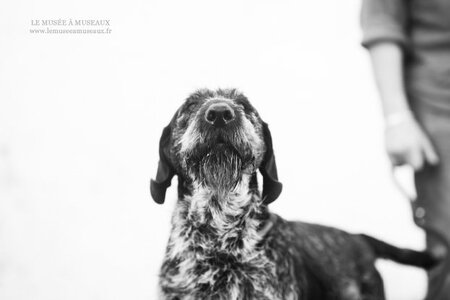 Adopter Nina