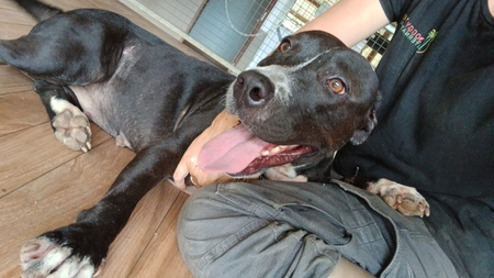 Adopter Nina