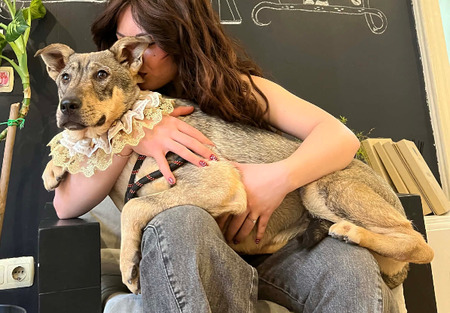 Adopter Opra