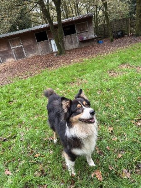 Adopter Pablo