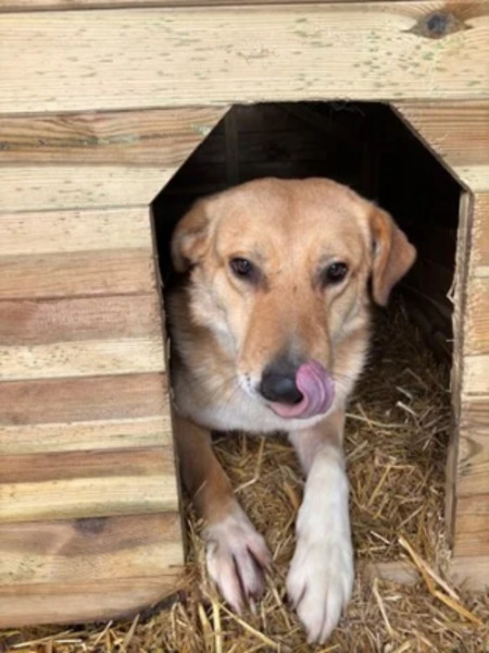 Adopter Passy