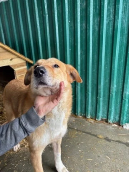 Adopter Passy