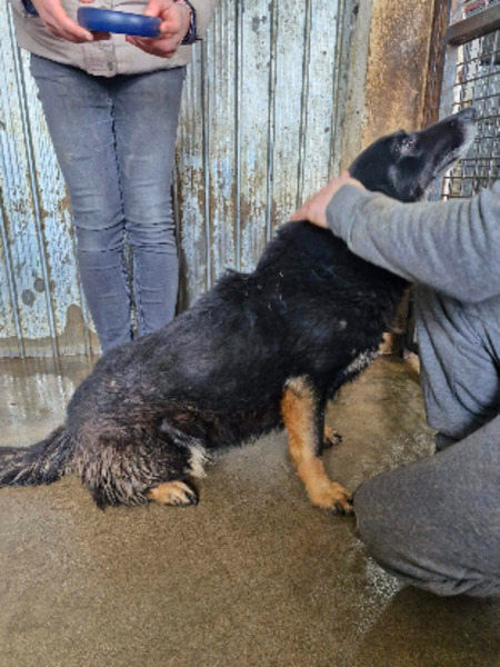 Adopter Paulette