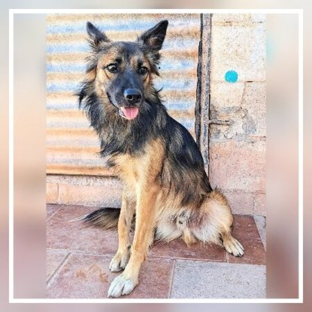Adopter Peru