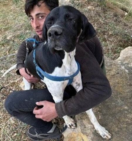 Adopter Pesto