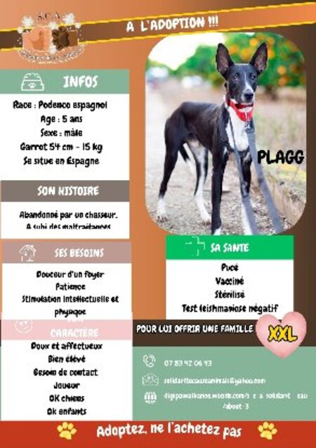Adopter Plagg