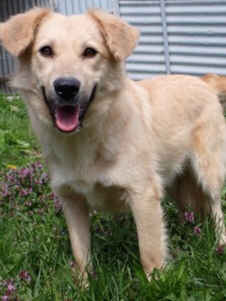 Adopter Popsy