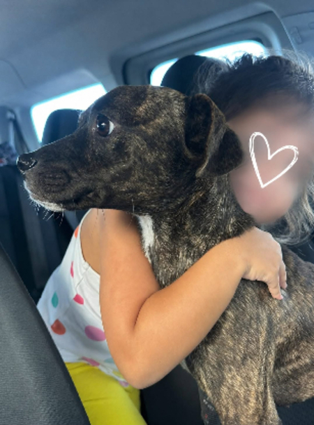 Adopter Prince