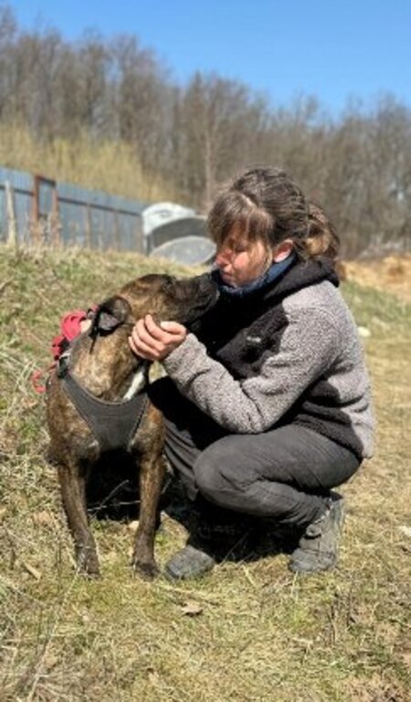 Adopter Rock