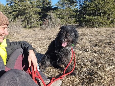Adopter Rona