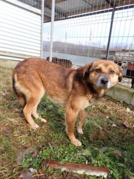 Adopter Sabayon