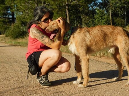 Adopter Sirio