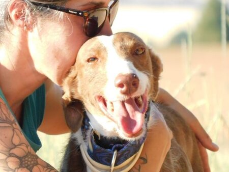 Adopter Siver