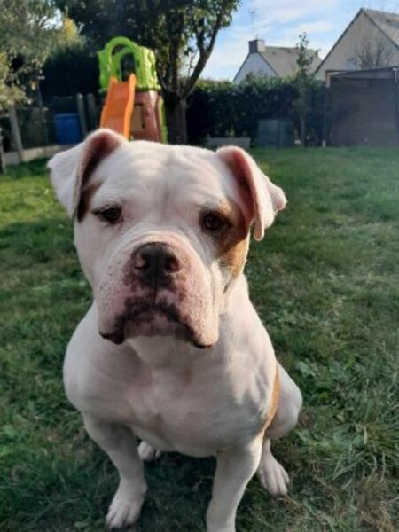 Adopter Taïka
