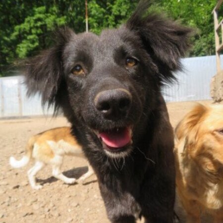 Adopter Tanya