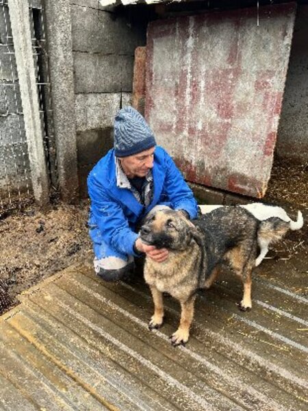 Adopter Texas