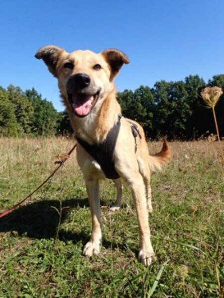 Adopter Thalie