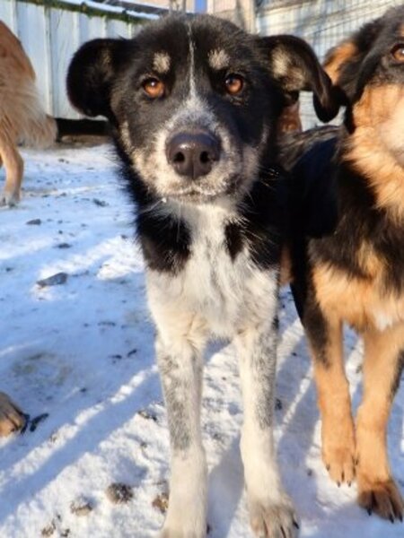 Adopter Tiana
