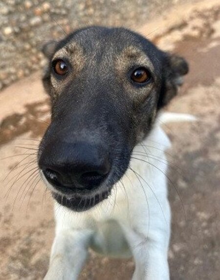 Adopter Tina
