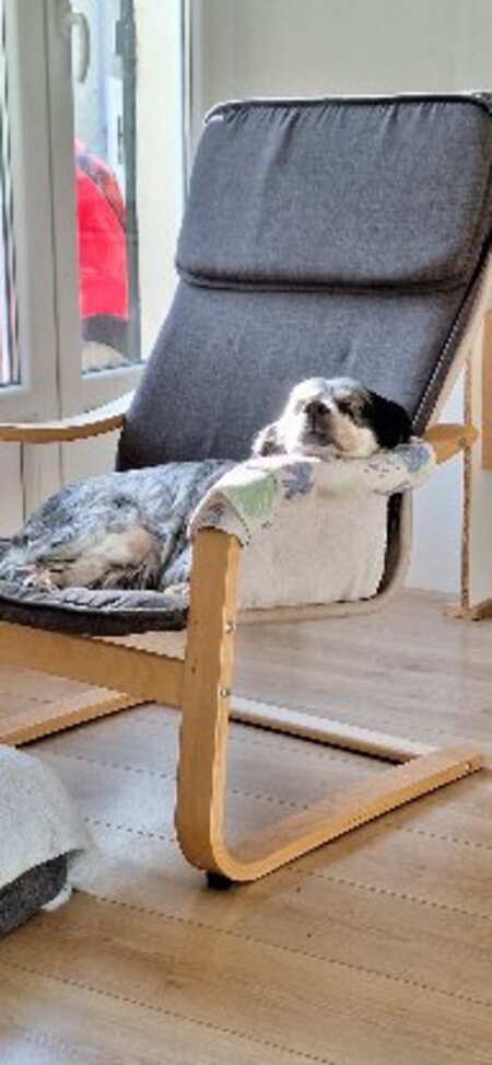 Adopter Tina