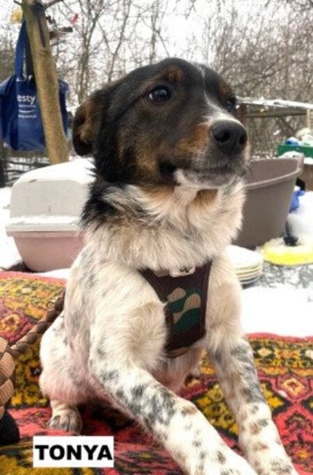 Adopter Tonya