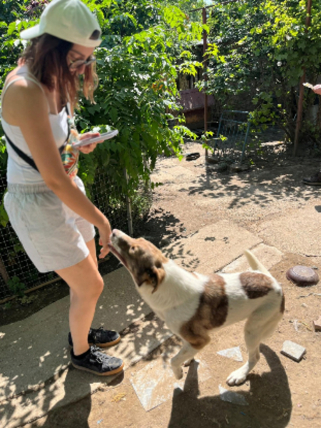 Adopter Tosca