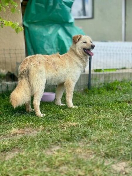 Adopter Toscane