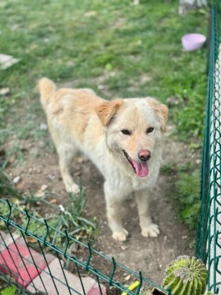Adopter Toscane