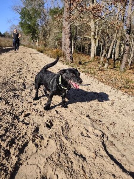 Adopter Tsuky