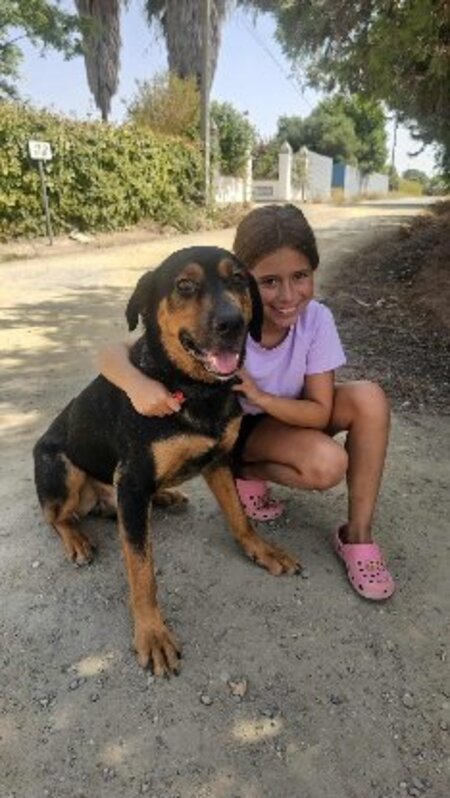 Adopter Ugo