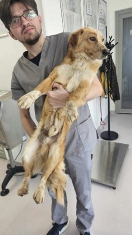 Adopter Uranus