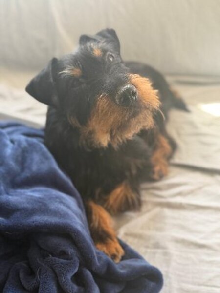 Adopter Valeria