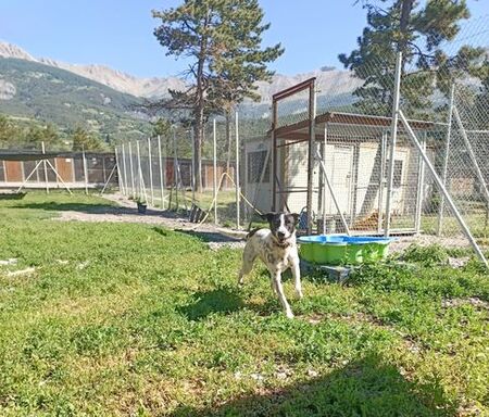 Adopter Wouapy