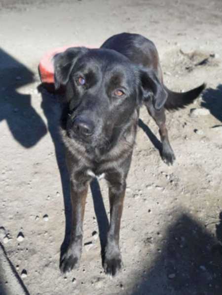 Adopter Yanna