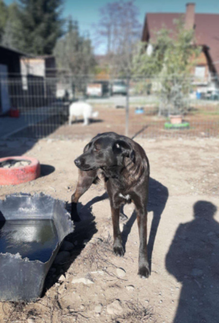 Adopter Yanna