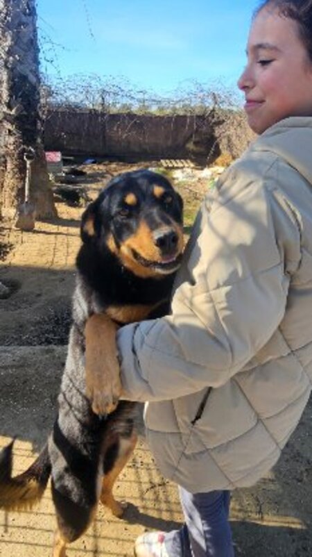 Adopter Yori
