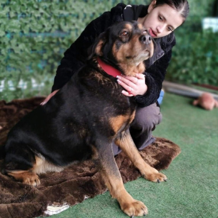 Adopter Yuna