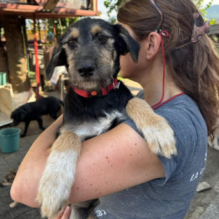 Adopter Zara