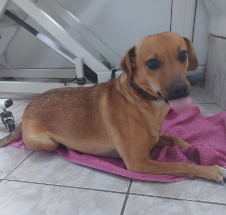 Adopter Zeyna