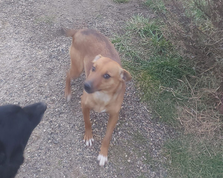 Adopter Zeyna