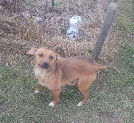 Adopter Zeyna