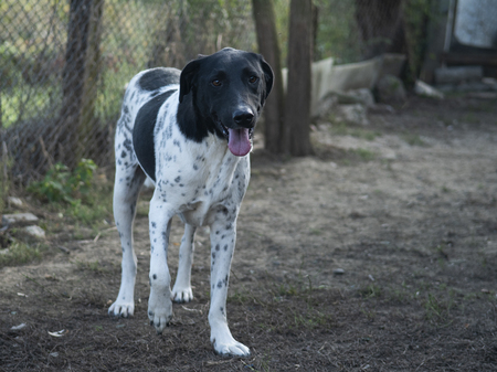 Adopter Kenza