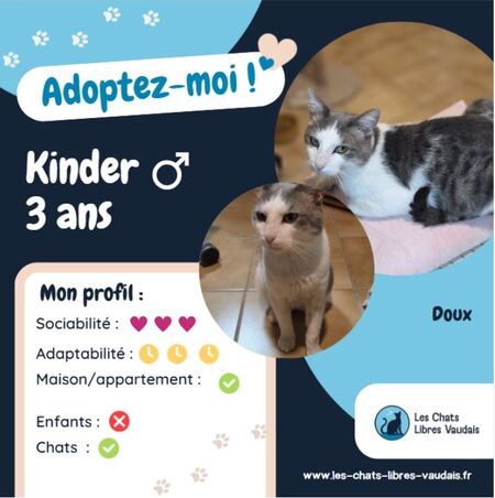Adopter Kinder