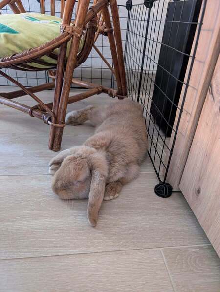 Adopter Potimarron